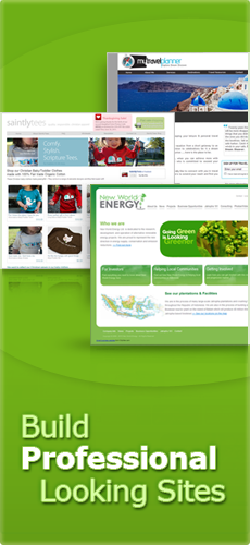 Build Professional Looking Websites